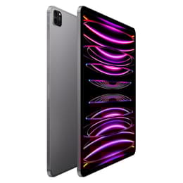 iPad Pro 12.9 インチ 第6世代 - 2022 - Wi-Fi + 5G - 1000 GB - スペースグレイ