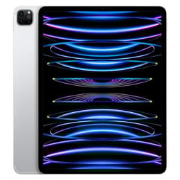 iPad Pro 12.9 インチ 第6世代 - 2022 - Wi-Fi + 5G - 2000 GB - シルバー