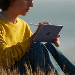 iPad mini 8.3 インチ 第6世代 - 2021 - Wi-Fi - 256 GB - ピンク