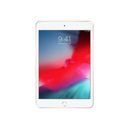 iPad mini 7.9 インチ 第5世代      Wi Fi + 4G    GB