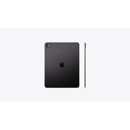 iPad Pro 13 インチ 第7世代 - 2024 - Wi-Fi - 256 GB - スペースブラック