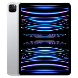 iPad Pro 11 (2022) - Wi-Fi + 5G