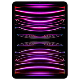 iPad Pro 11 インチ 第4世代 - 2022 - Wi-Fi + 5G - 1000 GB - スペースグレイ