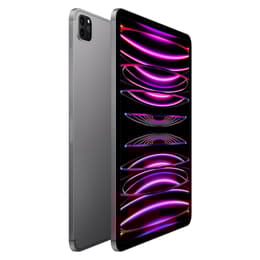 iPad Pro 11 インチ 第4世代 - 2022 - Wi-Fi + 5G - 1000 GB - スペースグレイ