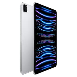 iPad Pro 11 (2022) - Wi-Fi + 5G