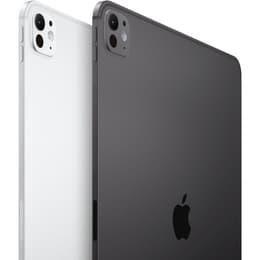 iPad Pro 11 インチ 第5世代 - 2024 - Wi-Fi - 256 GB - スペースブラック