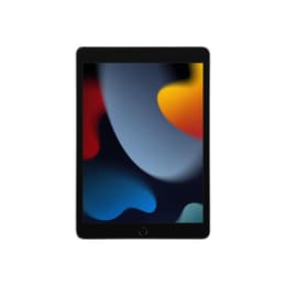 iPad 10.2 インチ 第9世代 - 2021 - Wi-Fi - 256 GB - スペースグレイ