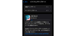ソフトウェアでアップデートを実行