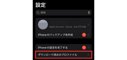 APN構成プロファイルの確認