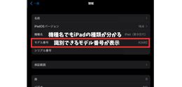 iPadのモデル確認方法3