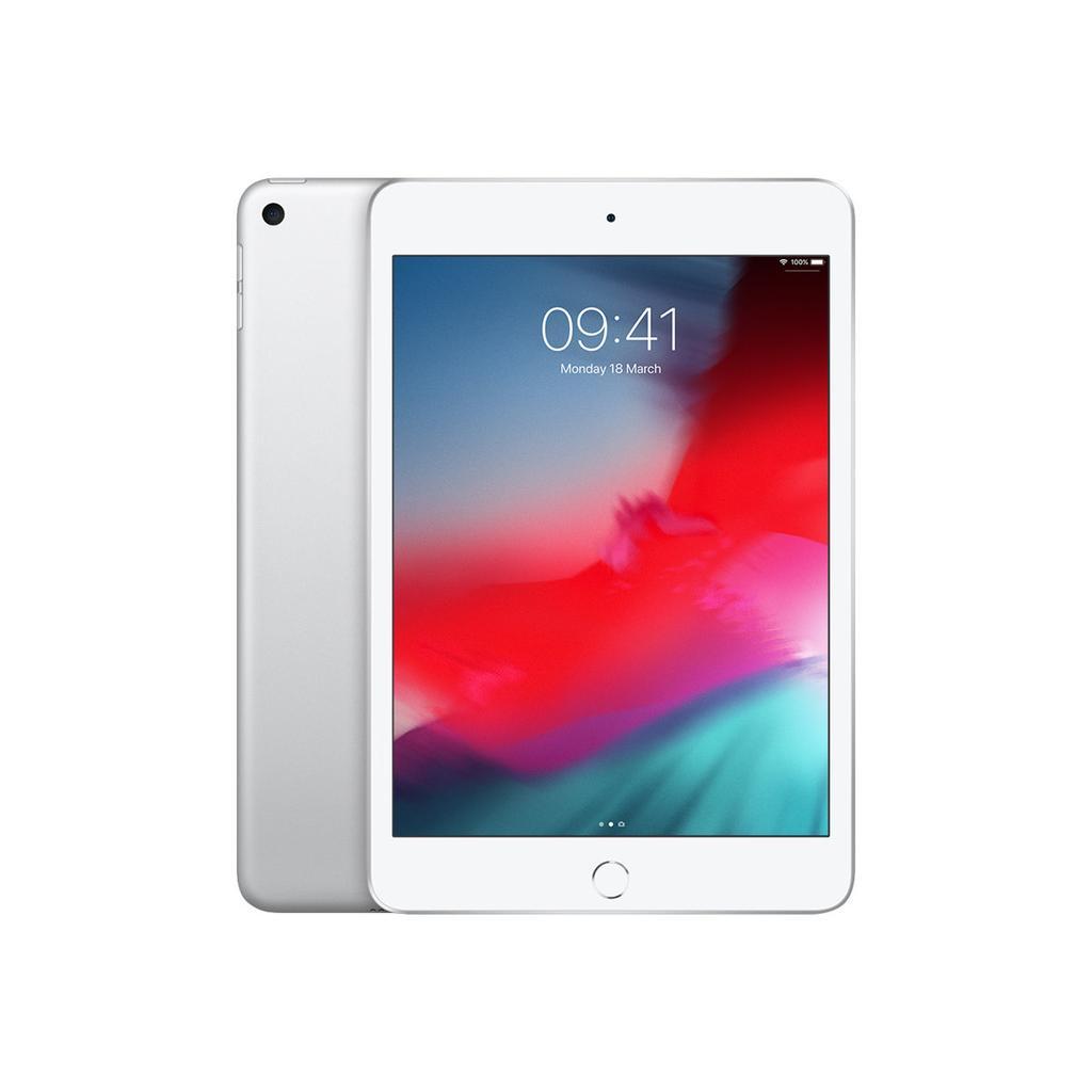 iPad mini 7.9 インチ 第5世代 - 2019 - Wi-Fi - 256 GB - シルバー 256 GB - シルバー 【整備