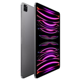iPad Pro (2022, M2 series) リファービッシュ品 | Back Market