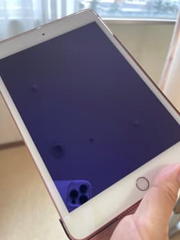iPad mini 5 (2019, A12 series) リファービッシュ品 | Back Market