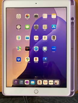 iPad 10.2 インチ (2020) 第8世代 128 GB - Wi-Fi + 4G - シルバー