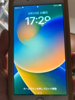 iPhone8Plus 256GB スペースグレイ SIMフリー　ボナベンチュラ Apple iPhone 8 Plus 256GB SIMフリー 価格比較 - 価格.com