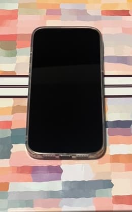 iPhone 13 Pro Max リファービッシュ品 | Back Market